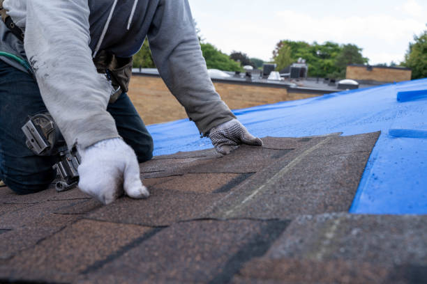 Best New Roof Installation  in Quitman, GA