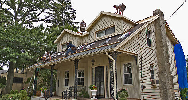 Best Roof Maintenance Services  in Quitman, GA